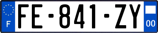 FE-841-ZY
