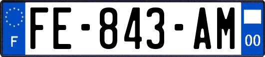 FE-843-AM