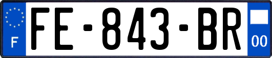 FE-843-BR