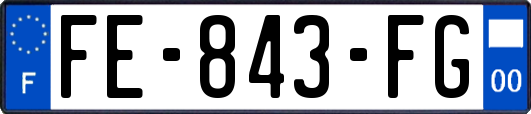 FE-843-FG