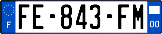 FE-843-FM