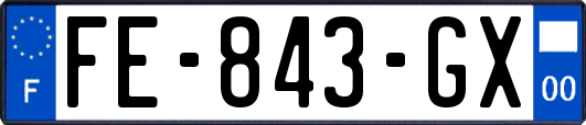 FE-843-GX