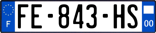 FE-843-HS
