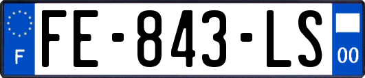 FE-843-LS