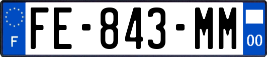 FE-843-MM