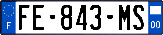 FE-843-MS