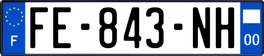 FE-843-NH