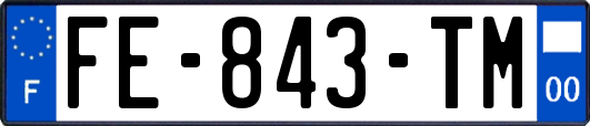 FE-843-TM