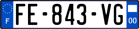 FE-843-VG