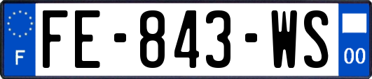 FE-843-WS