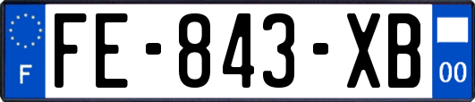 FE-843-XB