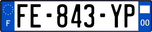FE-843-YP