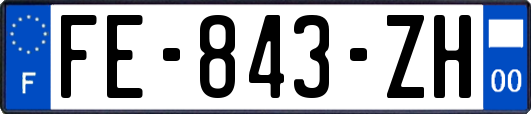 FE-843-ZH