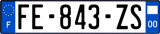 FE-843-ZS