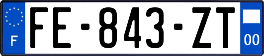 FE-843-ZT