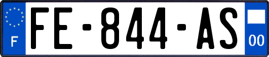 FE-844-AS