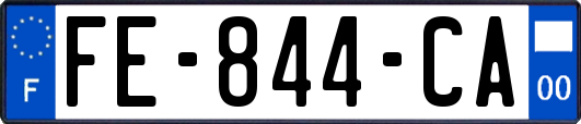 FE-844-CA