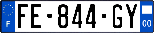 FE-844-GY