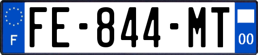FE-844-MT