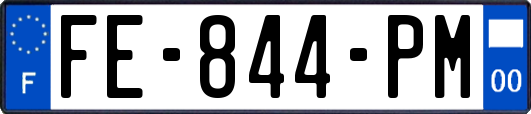 FE-844-PM