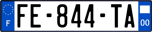 FE-844-TA