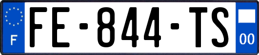 FE-844-TS