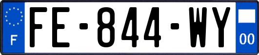FE-844-WY