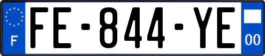 FE-844-YE