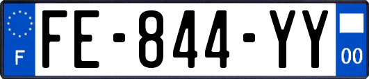 FE-844-YY