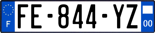 FE-844-YZ