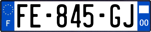 FE-845-GJ