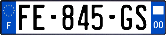 FE-845-GS