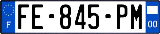 FE-845-PM