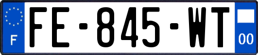 FE-845-WT