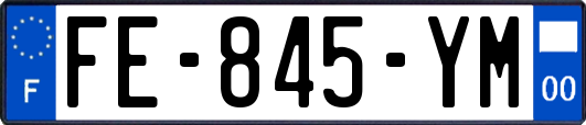 FE-845-YM