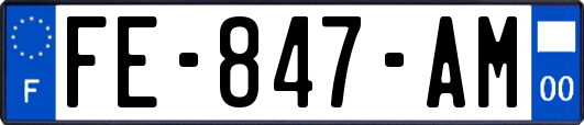 FE-847-AM