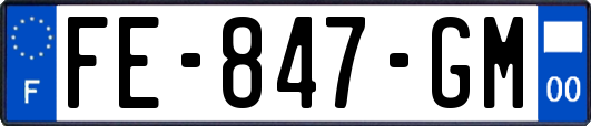 FE-847-GM
