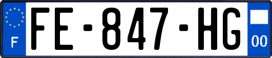 FE-847-HG