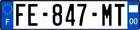 FE-847-MT
