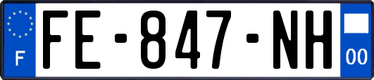 FE-847-NH