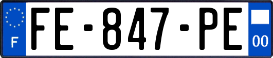 FE-847-PE