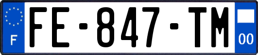 FE-847-TM