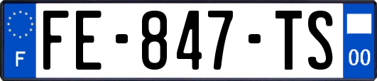 FE-847-TS