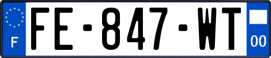 FE-847-WT