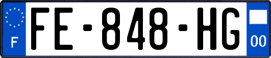 FE-848-HG
