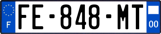 FE-848-MT