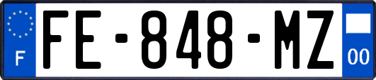 FE-848-MZ