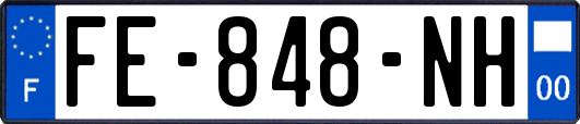 FE-848-NH