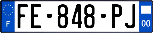 FE-848-PJ