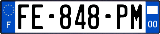 FE-848-PM